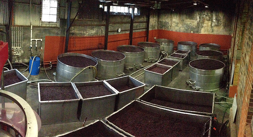 Chateau Tanunda Winemaking